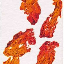 Vier rote Blätter (uitverkocht)